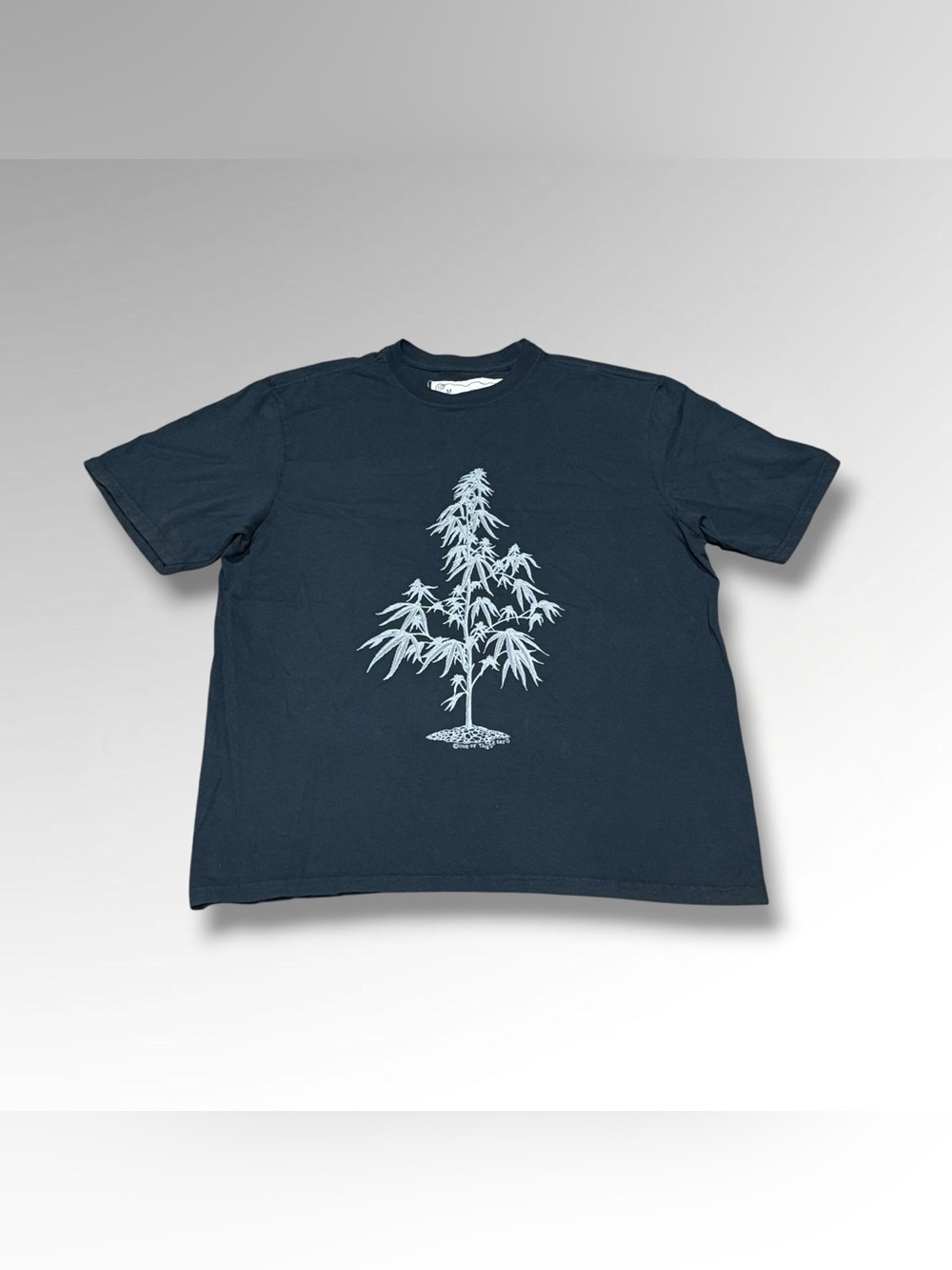 One of These Days and Away Go Troubles Down the Drain Tee